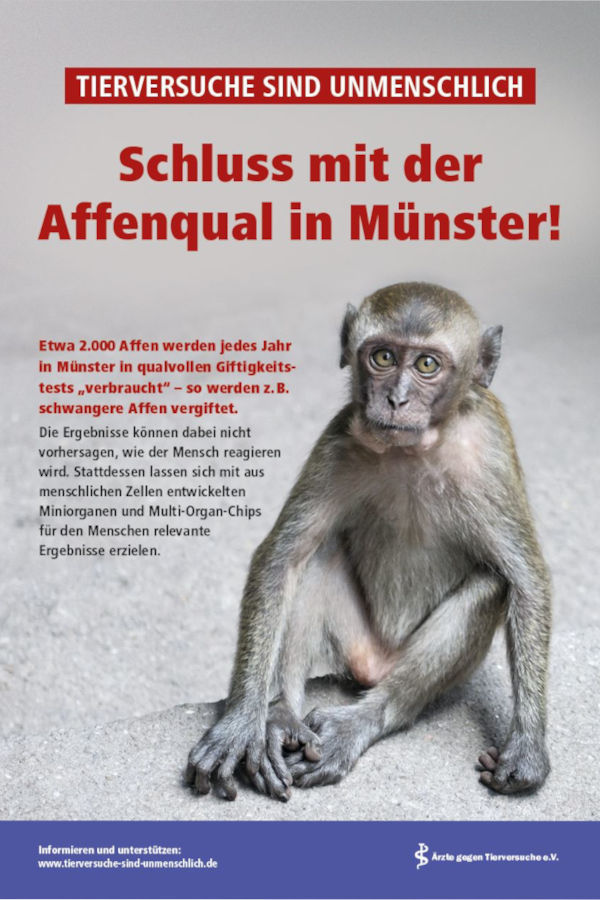 Flugblatt "Schluss mit der Affenqual in Münster" (100 St.)